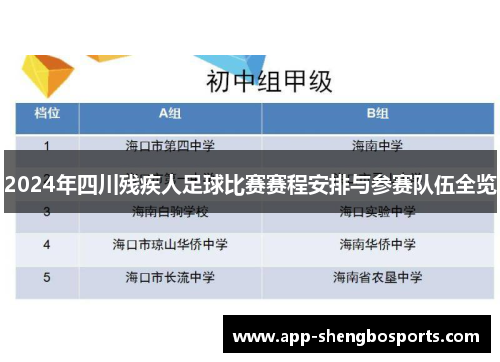 2024年四川残疾人足球比赛赛程安排与参赛队伍全览
