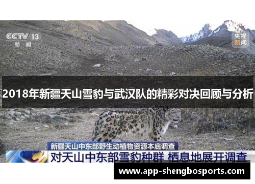 2018年新疆天山雪豹与武汉队的精彩对决回顾与分析