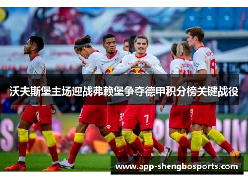 沃夫斯堡主场迎战弗赖堡争夺德甲积分榜关键战役